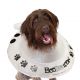 ¡OFERTA 29%DTO! Boobooloon ® Collar Isabelino Inflable