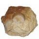 Rocas para gelatinas de insectos y reptiles frugívoros y nectarínidos